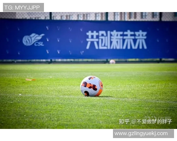 外国球星加盟中国足球的现状与未来发展趋势分析 外国球星加盟中国足球的现状与未来发展趋势分析