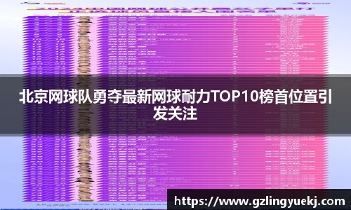 北京网球队勇夺最新网球耐力TOP10榜首位置引发关注
